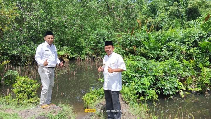 CAMAT BATANG GASAN MONITORING PEMBIBITAN MANGROVE DI NAGARI GASAN GADANG 